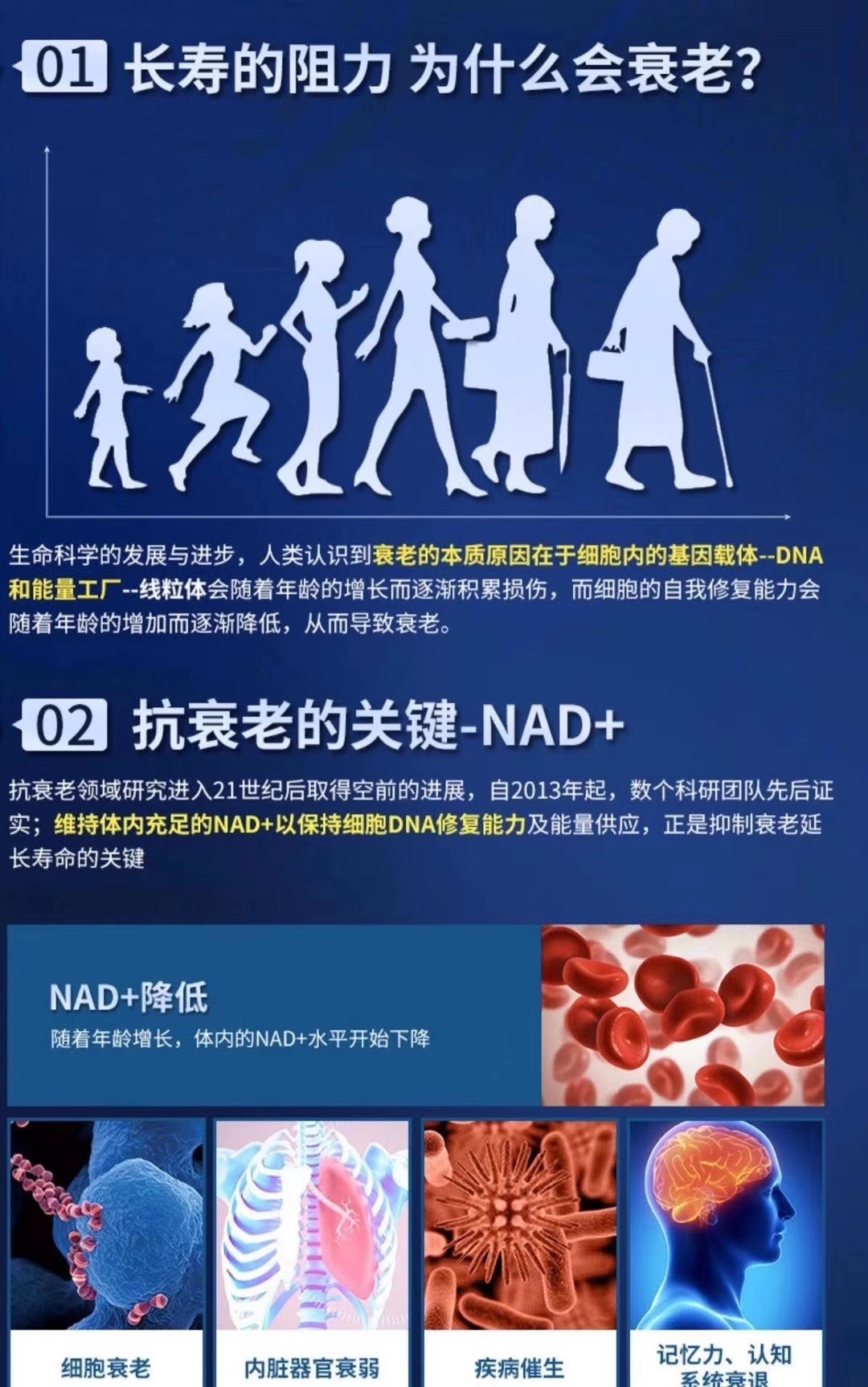 古特生物 01長壽的阻力 為什么會(huì)衰老?02 抗衰老的關(guān)鍵-NAD+