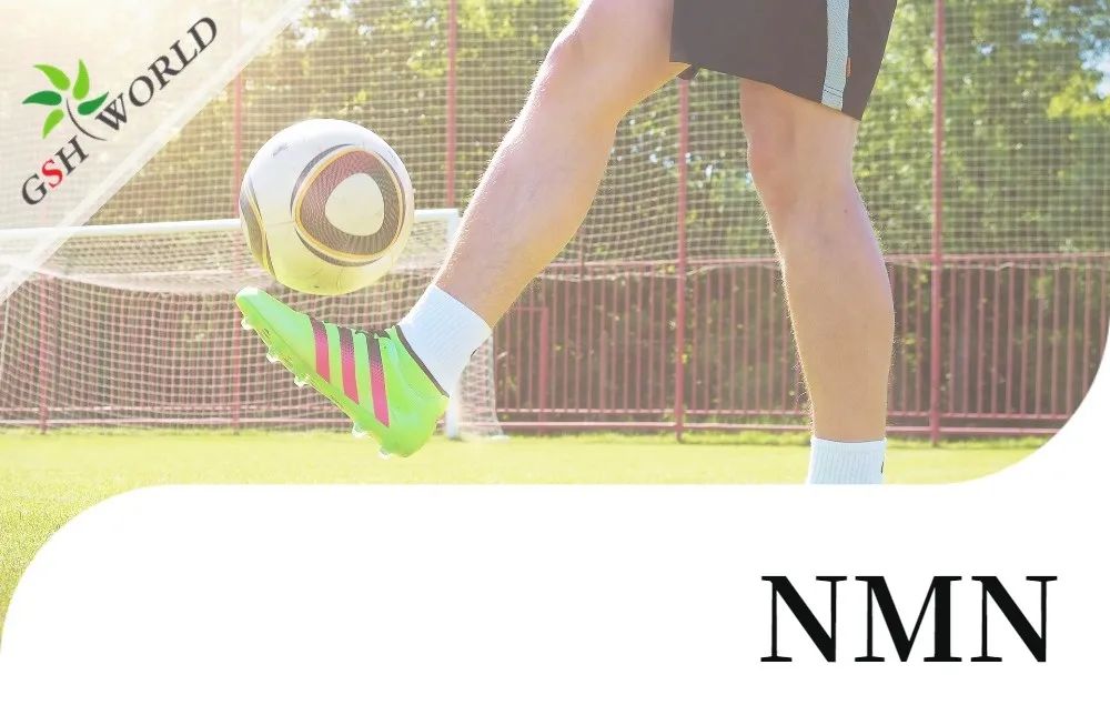 古特生物 古特生物