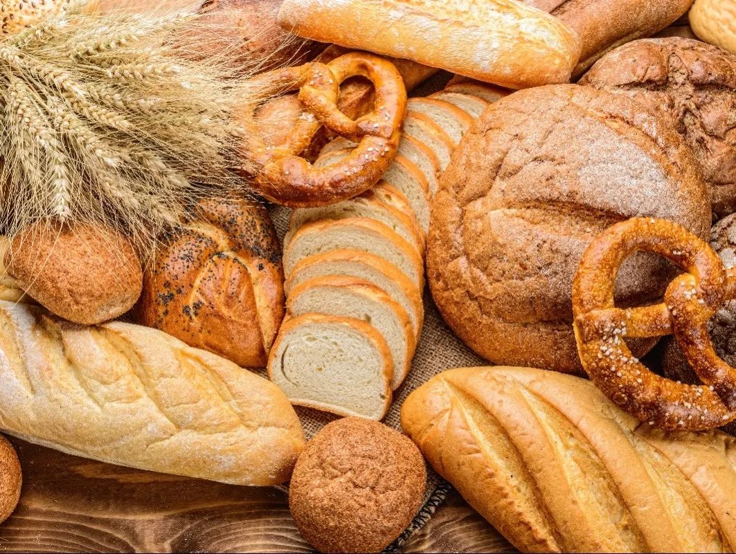 古特生物 古特生物