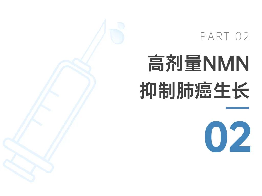 古特生物 古特生物