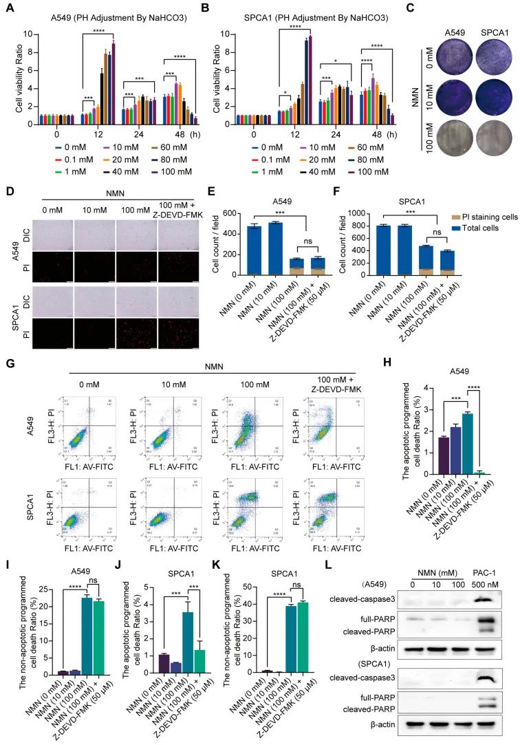 古特生物 古特生物