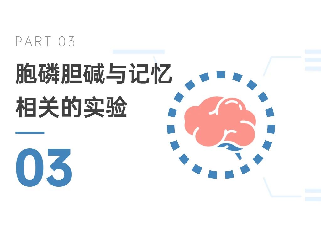 03胞磷膽堿與記憶相關(guān)的實驗 03胞磷膽堿與記憶相關(guān)的實驗