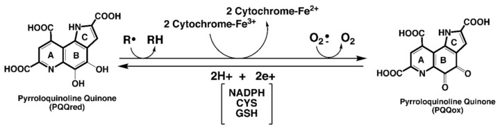 古特生物 包含圖片、插圖等的外部文件。
對象名稱為 biomolecules-11-01441-g001.jpg