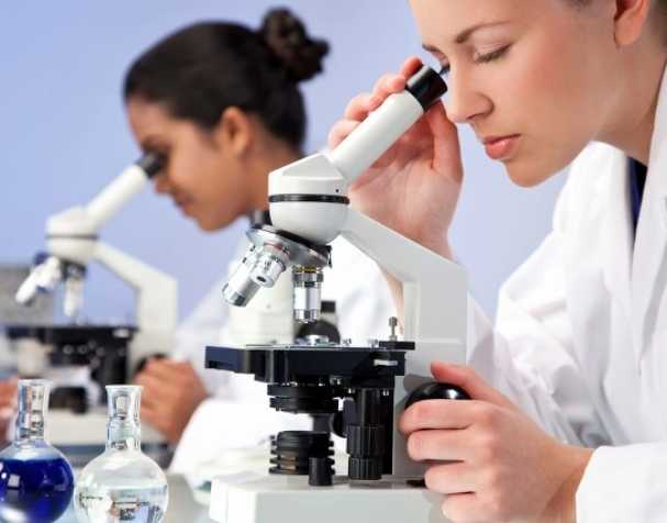 古特生物 SAMe可用于治療ADHD嗎?