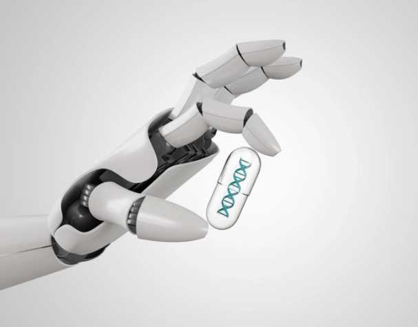 古特生物 NAD+前體:NMN和NR