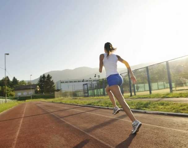 古特生物 什么會消耗 ATP?