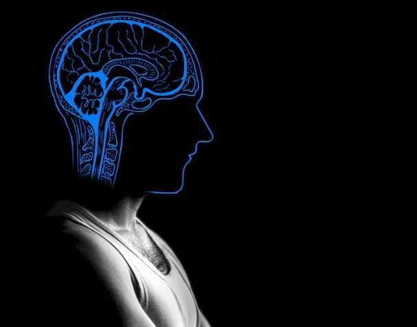 古特生物 胞磷膽堿跟記憶的關系