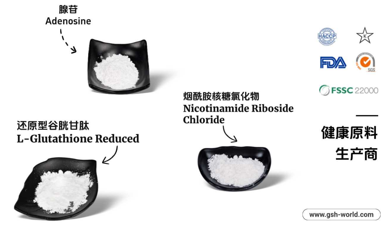 有哪些原料被廣泛應用? 有哪些原料被廣泛應用?