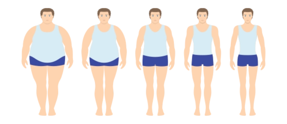 抗氧化補充劑通過多重機制影響脂肪組織 抗氧化補充劑通過多重機制影響脂肪組織