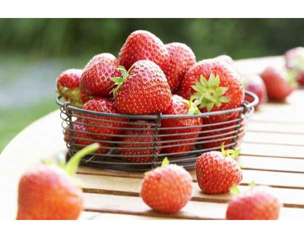 在維持果實營養品質方面,谷胱甘肽表現突出 在維持果實營養品質方面,谷胱甘肽表現突出