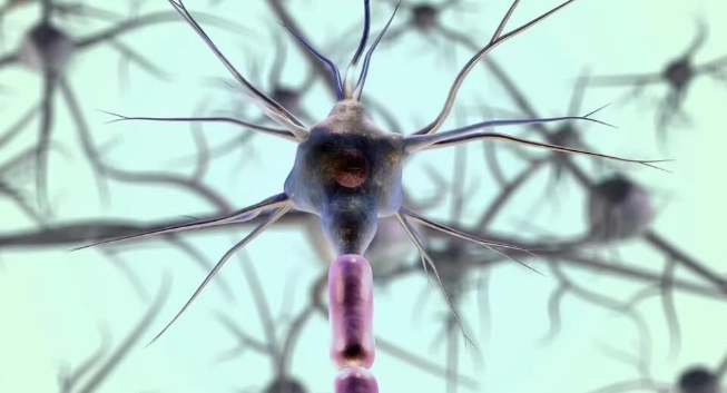 多靶點協同的調控網絡 多靶點協同的調控網絡