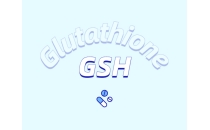 膠原蛋白粉和谷胱甘肽粉哪個更好？