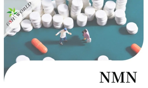 行業關注 - NMN的多種治療應用