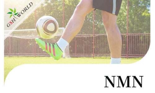行業(yè)關(guān)注 - NMN對肌腱炎的抗氧化作用