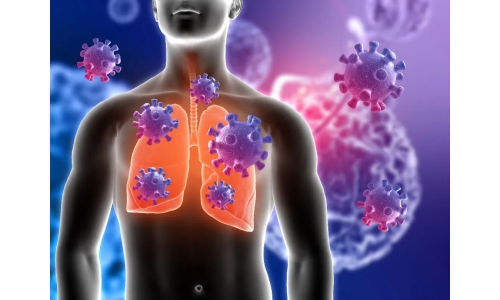 鐘南山：6月底將迎來二陽高峰！危害更大？NMN能有效抵御“二陽”！