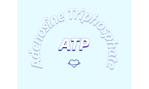 ATP補充劑對運動有什么益處？
