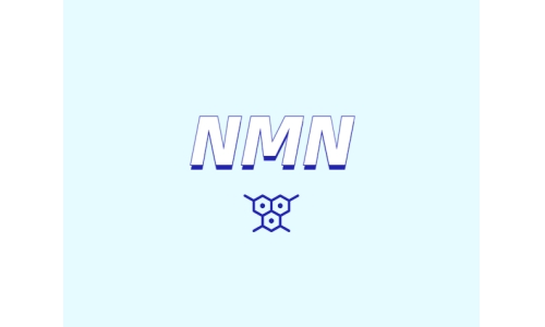 哪里可以買到 nmn？