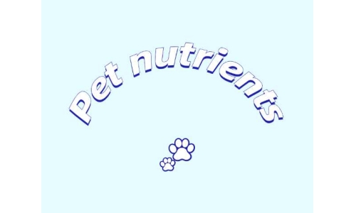 三種具有潛力的寵物營養素——PQQ、輔酶Q10以及S-腺苷甲硫氨酸